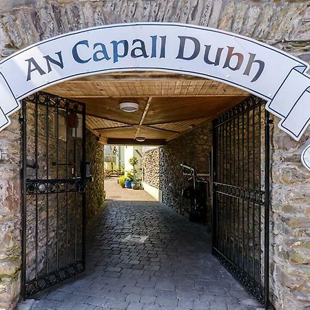 Dingle Centre Townhouse An Capall Dubh Dingle Kültér fotó