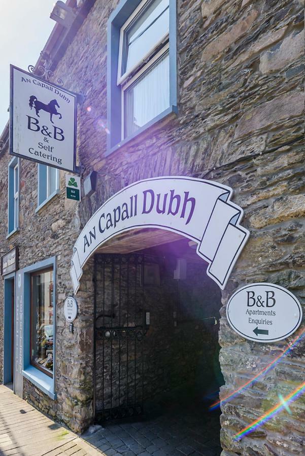 Dingle Centre Townhouse An Capall Dubh Dingle Kültér fotó